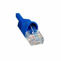 Icc 10 ft. Cat 6 Molded Patch Cords - Blue ICPCSD10BL